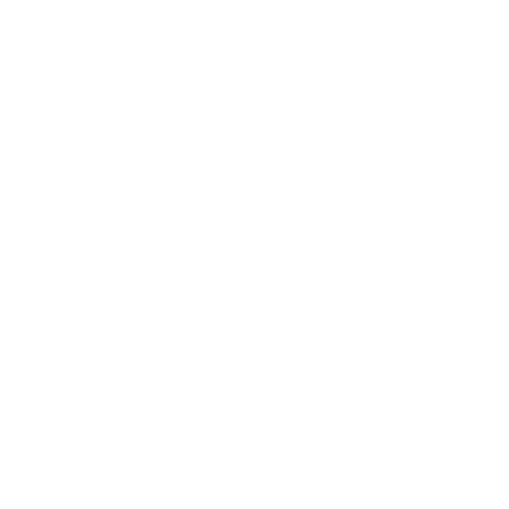 Holistic Hustle Logo